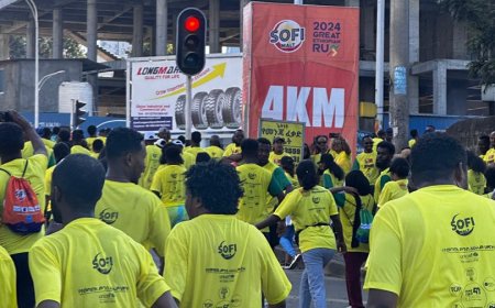 የ2017 ሶፊ ማልት ታላቁ ሩጫ ከታየው የሞባይል ስልክ ስርቆት  በሰላም ተጠናቆዋል