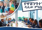 ኢትዮጵያና አሜሪካ ስልታዊ ግንኙነታቸውን ለማጠናከር በዋሽንግተን ዲሲ ምክክር አደረጉ።