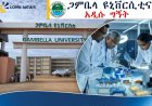 የጋምቤላው ‘ሺያ ቅቤ’ ከባህላዊ አሰራር ወደ ዓለም አቀፍ ብራንድነት!