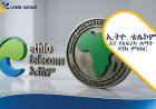 ኢትዮ ቴሌኮም እና የአፍሪካ ልማት ባንክ የዲጂታል ትራንስፎርሜሽን አጋርነታቸውን ገመገሙ