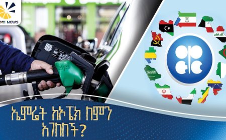 ልዩ ዘገባ፦ የተባበሩት አረብ ኤምሬትስ ከኦፔክ (OPEC) መውጣት—ለቀጠናው ምን ትርጉም አለው?