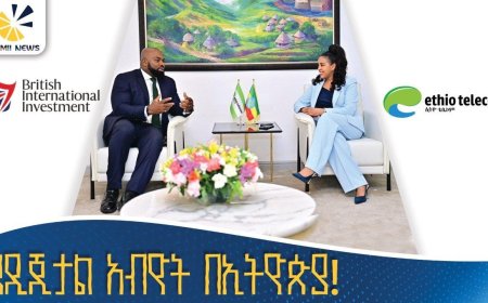 የቴሌብር 5 ዓመታት ጉዞ
