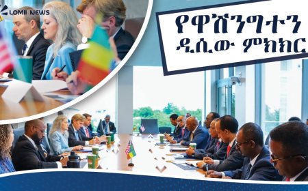 ኢትዮጵያና አሜሪካ ስልታዊ ግንኙነታቸውን ለማጠናከር በዋሽንግተን ዲሲ ምክክር አደረጉ።