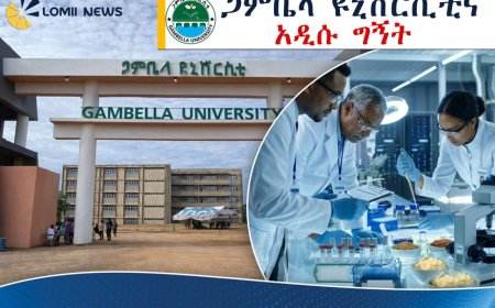 የጋምቤላው ‘ሺያ ቅቤ’ ከባህላዊ አሰራር ወደ ዓለም አቀፍ ብራንድነት!