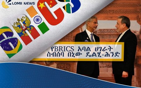 የBRICS አባል ሀገራት ስብሰባ በኒው ዴልሂ-ሕንድ