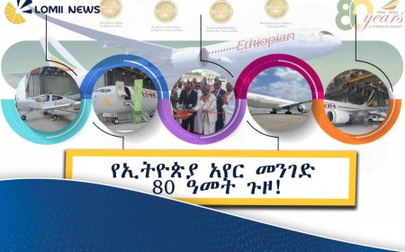 የሰማዩ ጠንካራ ክንፍ 80 ዓመት ሞላው! በቦሌ አየር ማረፊያ የታየው አስደናቂው የኤር ትርዒት