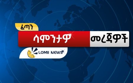 ለሎሚ ስፖርት አጫጭር ዜናዎች!