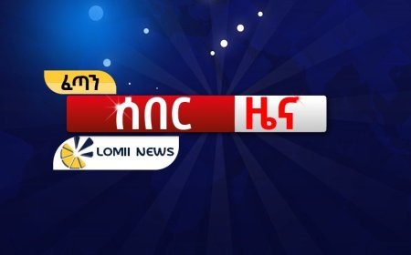 ሎሚ ዜና ❌ የሀሰተኛ ዜና ማጣሪያ