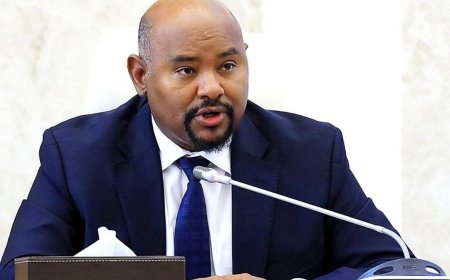 የኢኖቬሽንና ቴክኖሎጂ ሚኒስቴር ችግር ፈቺ ምርምሮችን በማካሄድ ውጤታማ መሆኑን አስታወቀ።