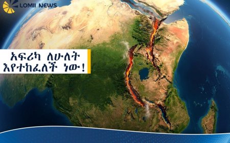 አፍሪካ ለሁለት እየተከፈለች ነው! 