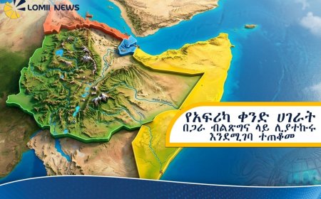 የጥርጣሬው ምህዳር እና የኢትዮጵያ አዲስ የዲፕሎማሲያዊ ስትራቴጂ