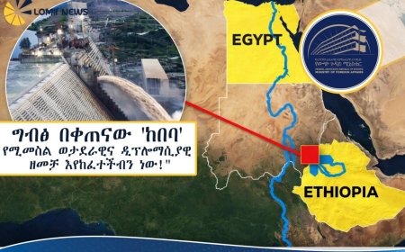 ከበባ የሚመስል ወታደራዊና ዲፕሎማሲያዊ ዘመቻ እየከፈተችብን ነው