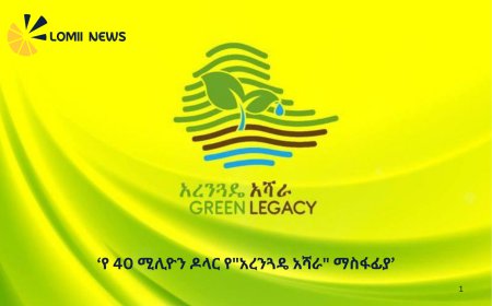የ 40 ሚሊዮን ዶላር የ"አረንጓዴ አሻራ" ማስፋፊያ ፕሮጀክት ተጀመረ
