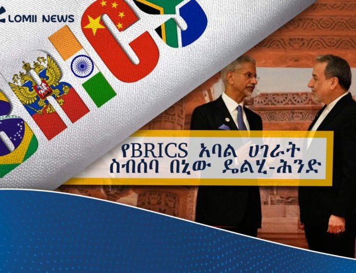 የBRICS አባል ሀገራት ስብሰባ በኒው ዴልሂ-ሕንድ