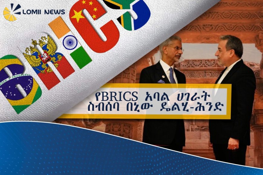 የBRICS አባል ሀገራት ስብሰባ በኒው ዴልሂ-ሕንድ