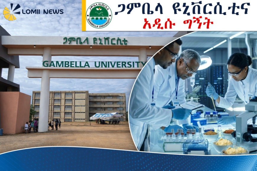 የጋምቤላው ‘ሺያ ቅቤ’ ከባህላዊ አሰራር ወደ ዓለም አቀፍ ብራንድነት!
