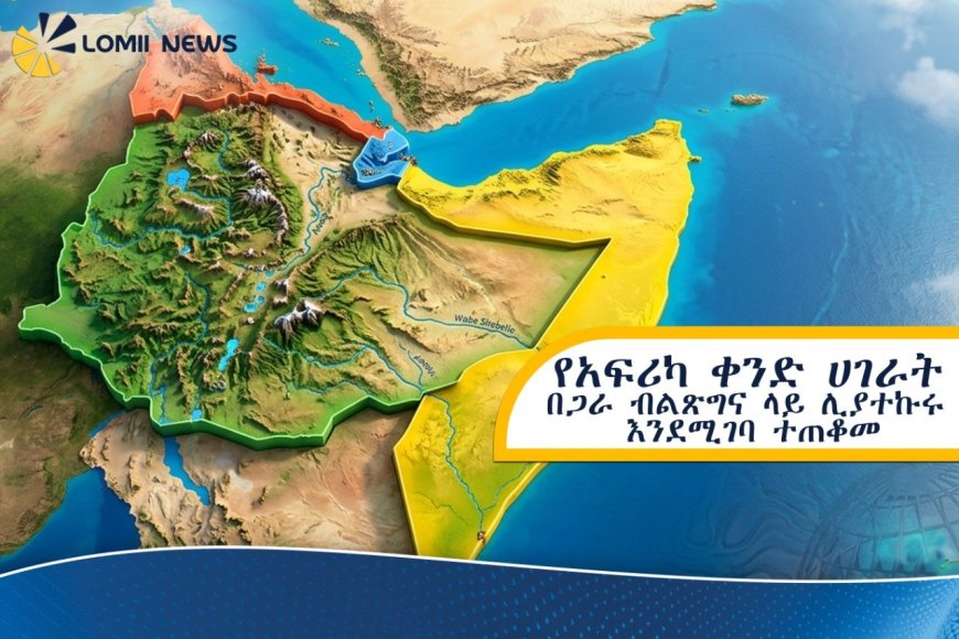 የጥርጣሬው ምህዳር እና የኢትዮጵያ አዲስ የዲፕሎማሲያዊ ስትራቴጂ