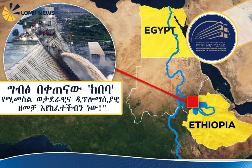 ከበባ የሚመስል ወታደራዊና ዲፕሎማሲያዊ ዘመቻ እየከፈተችብን ነው