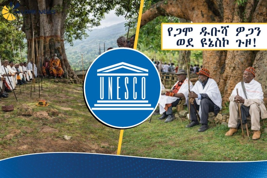 የጋሞ ዱቡሻ ዎጋን በዩኔስኮ የማይዳሰስ ቅርስነት ለማስመዝገብ የመጨረሻው ምዕራፍ ላይ መደረሱ ተነገረ