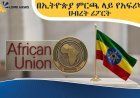 በኢትዮጵያ  7ኛው ሀገራዊ ምርጫ ላይ የአፍሪካ ህብረት ሪፖርት
