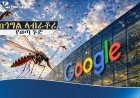 ጎግል የደረሰበት የቴክኖሎጂ እድገት እና ላብራቶሪ ውስጥ ያደጉ የወባ ትንኞች