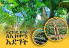 አረንጓዴ አሻራ ለሀገር ውስጥ ኢኮኖሚ እና ለህብረተሰብ እድገት