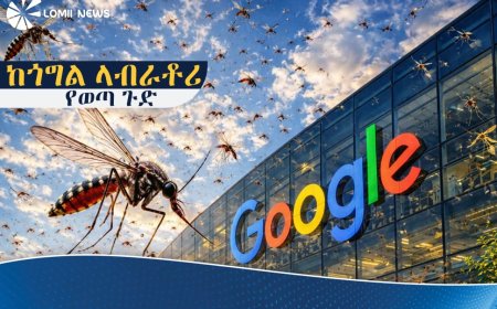 ጎግል የደረሰበት የቴክኖሎጂ እድገት እና ላብራቶሪ ውስጥ ያደጉ የወባ ትንኞች