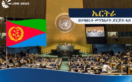 ኤርትራ የተባበሩት መንግስታት ድርጅት (UN) ምክትል ፕሬዝዳንት ሆና ተመረጠች!