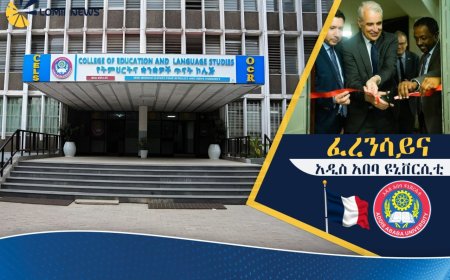 ፈረንሳይና አዲስ አበባ ዩኒቨርሲቲ በትምህርትና ባህል ዘርፍ ያላቸውን አጋርነት ይበልጥ አጠናከሩ