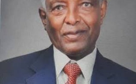ስለ እውነት እስራትንና እንግልትን የተጋፈጡት የነፃ ፕሬሱ ባለውለታ — ጋዜጠኛ ጎሹ ሞገስ (1928-2018)