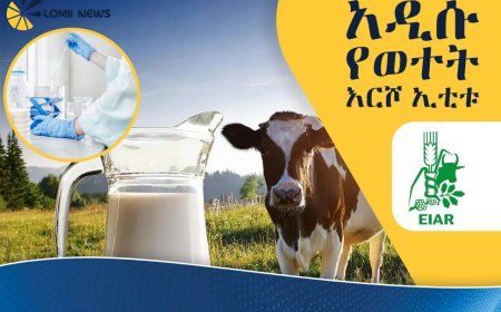 “ኢቲቱ” የተሰኘው አዲሱ የወተት ማርጊያ እርሾ ይፋ ሆነ