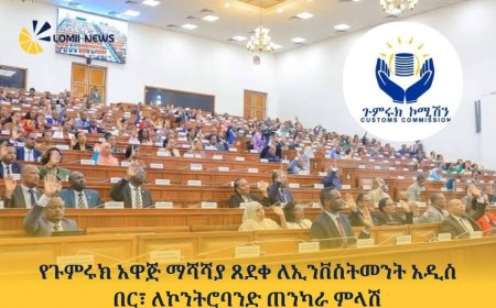 የጉምሩክ አዋጅ ማሻሻያ ጸደቀ ለኢንቨስትመንት አዲስ በር፣ ለኮንትሮባንድ ጠንካራ ምላሽ