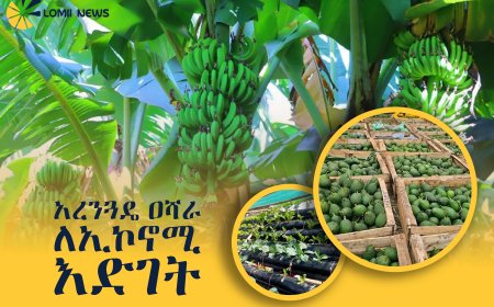 አረንጓዴ አሻራ ለሀገር ውስጥ ኢኮኖሚ እና ለህብረተሰብ እድገት