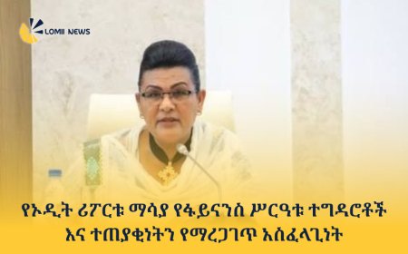 የኦዲት ሪፖርቱ ማሳያ የፋይናንስ ሥርዓቱ ተግዳሮቶች እና ተጠያቂነትን የማረጋገጥ አስፈላጊነት