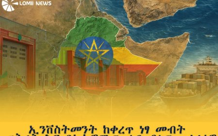 ኢንቨስትመንት ከቀረጥ ነፃ መብት መቅረት እና በኢኮኖሚው ላይ ያለው ተፅዕኖ