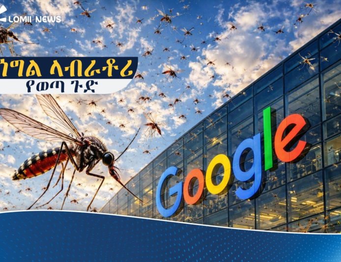 ጎግል የደረሰበት የቴክኖሎጂ እድገት እና ላብራቶሪ ውስጥ ያደጉ የወባ ትንኞች
