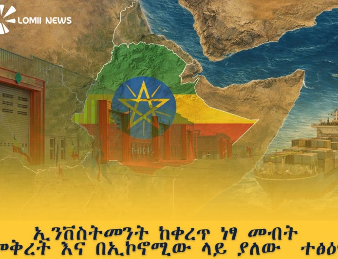 ኢንቨስትመንት ከቀረጥ ነፃ መብት መቅረት እና በኢኮኖሚው ላይ ያለው ተፅዕኖ
