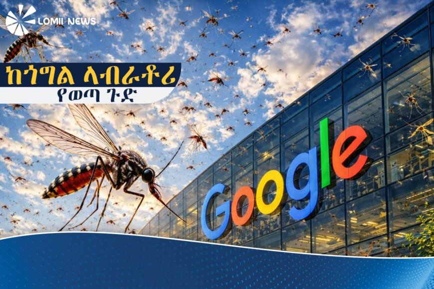 ጎግል የደረሰበት የቴክኖሎጂ እድገት እና ላብራቶሪ ውስጥ ያደጉ የወባ ትንኞች