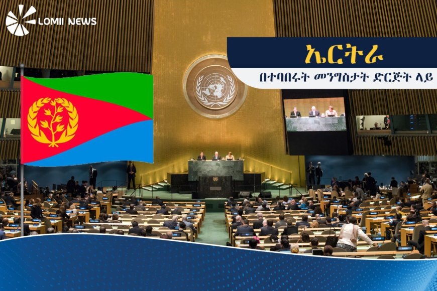 ኤርትራ የተባበሩት መንግስታት ድርጅት (UN) ምክትል ፕሬዝዳንት ሆና ተመረጠች!
