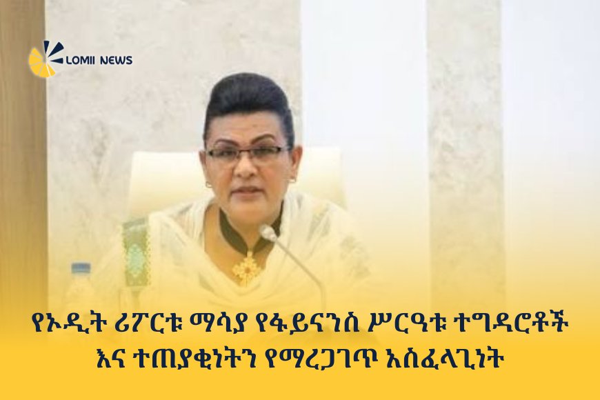 የኦዲት ሪፖርቱ ማሳያ የፋይናንስ ሥርዓቱ ተግዳሮቶች እና ተጠያቂነትን የማረጋገጥ አስፈላጊነት