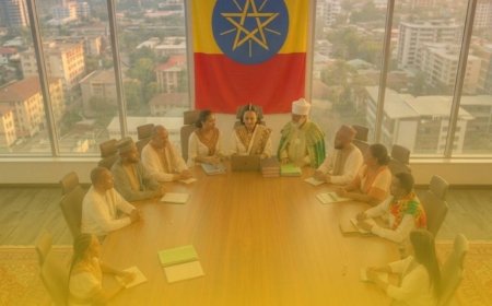 ሀገራዊ ምክክሮች ለፖለቲካዊ ቀውስ መፍቻ ከዓለም አቀፍ ተሞክሮዎች ምን እንማራለን?