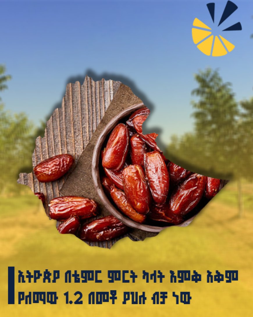 ኢትዮጵያ በቴምር ምርት ካላት እምቅ አቅም የለማው 1.2 በመቶ ያህሉ ብቻ ነው