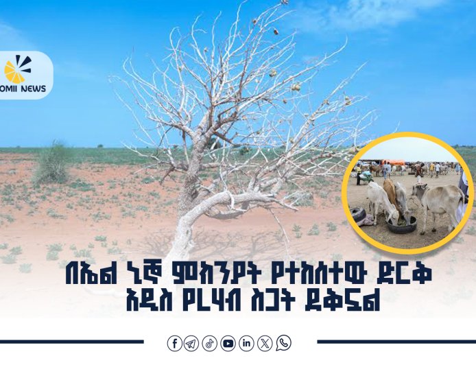 በኤል ኒኞ   ምክንያት የተከሰተው ድርቅ አዲስ የረሃብ ስጋት ደቅኗል፤ ኢትዮጵያም ከስጋቱ ነፃ አይደለችም