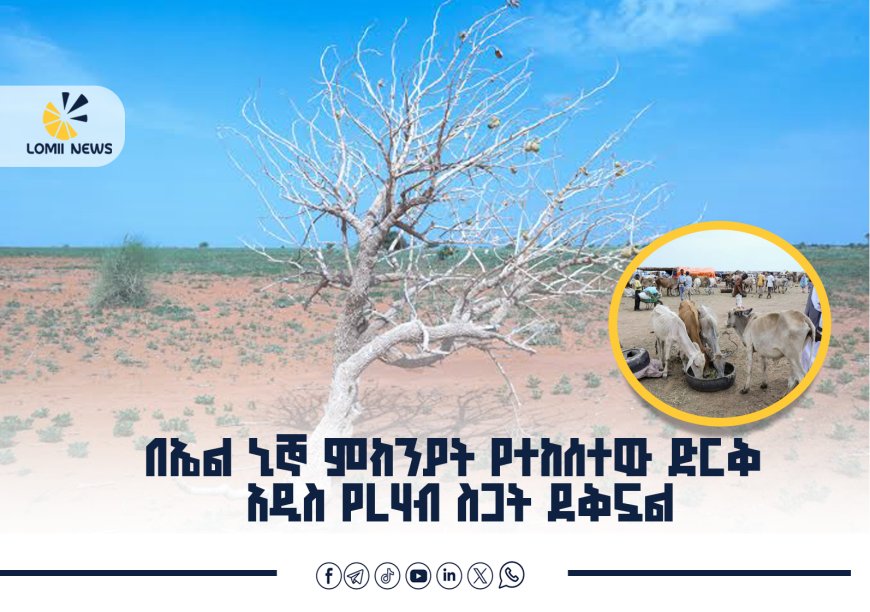 በኤል ኒኞ   ምክንያት የተከሰተው ድርቅ አዲስ የረሃብ ስጋት ደቅኗል፤ ኢትዮጵያም ከስጋቱ ነፃ አይደለችም